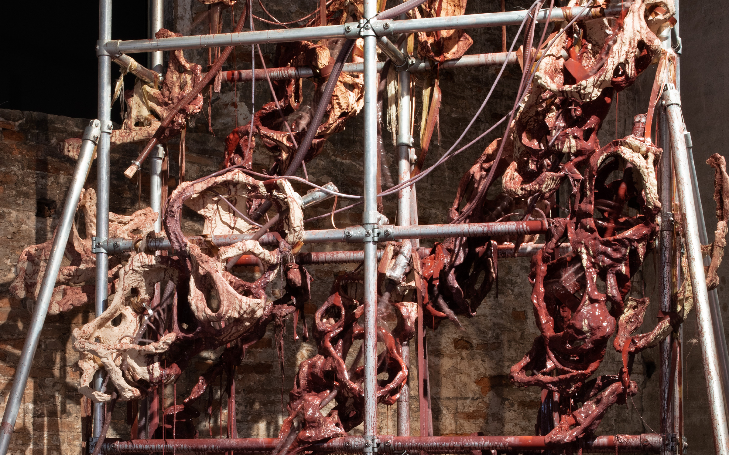 Four Venice Biennale highlights to seek out in Basel | Art Basel