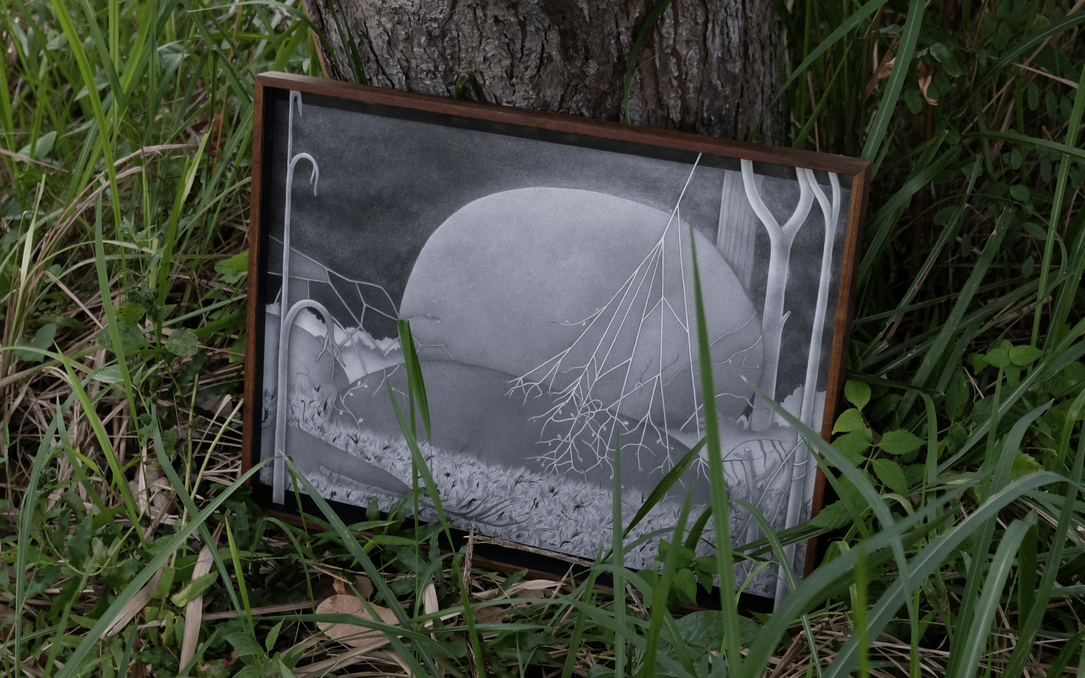 Moving_Images_of_Stones_on_the