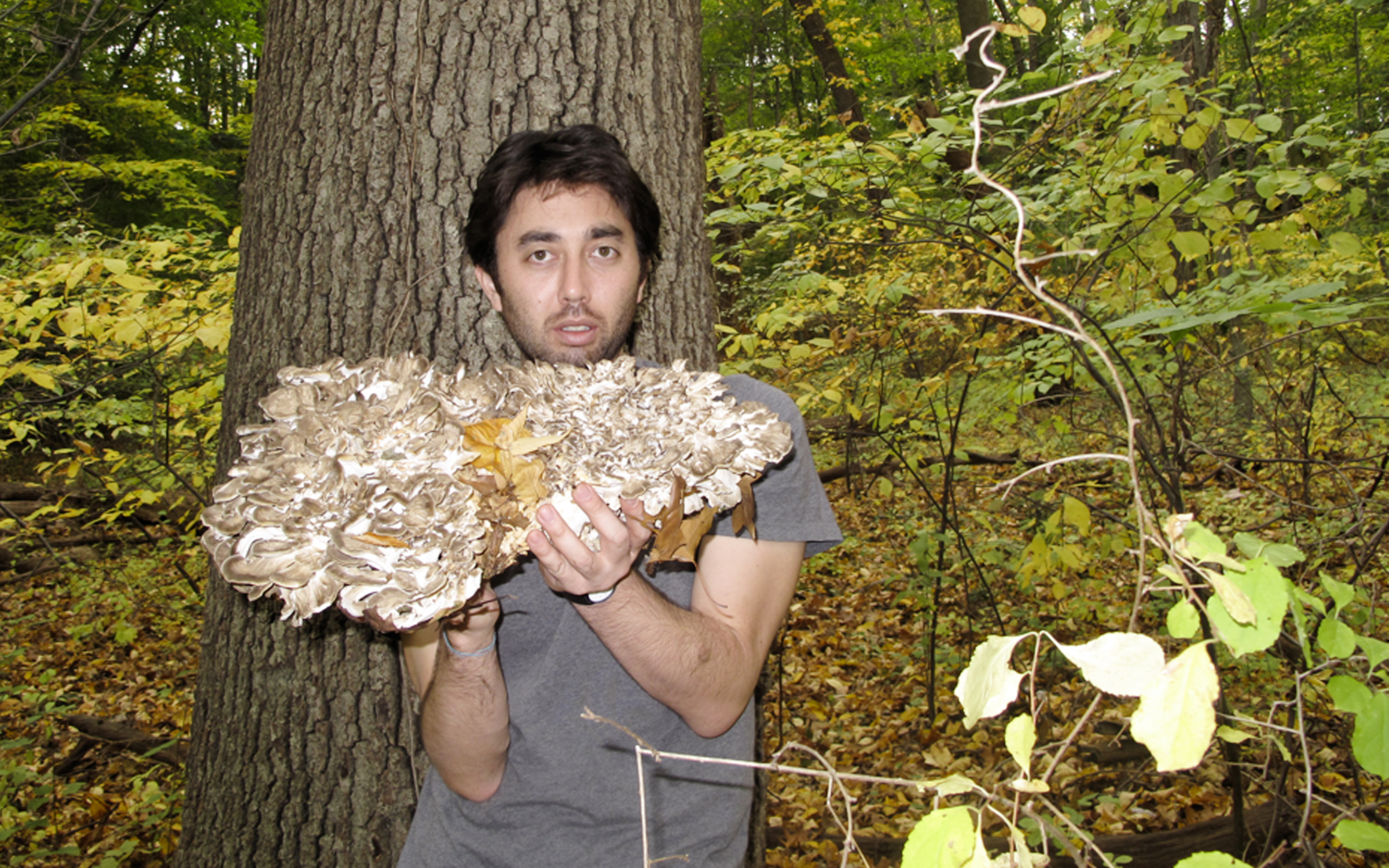 Why David Horvitz is retracing Marcel Duchamp's footsteps in