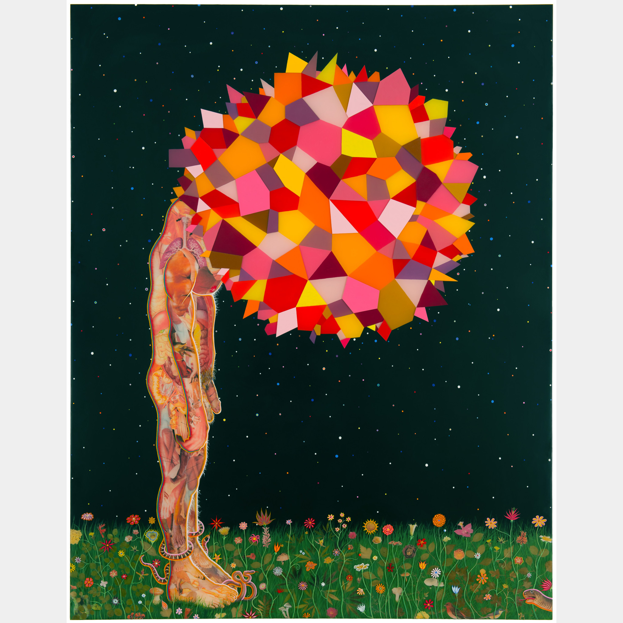 Fred Tomaselli　フレッド・トマセリ Fred Tomaselli – Art Works for Change