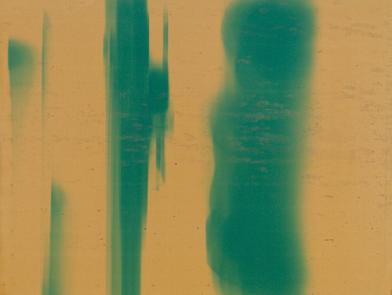 Wolfgang Tillmans (Phaidon Contemporary Artists Series): Jan