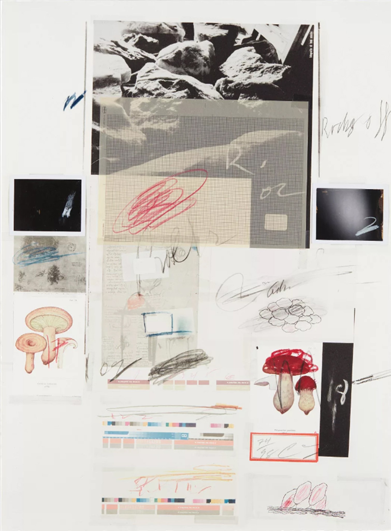 Cy Twombly | Natural History Part I Mushrooms/No.X, 1974