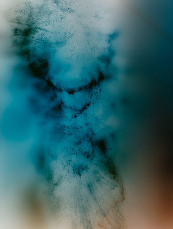 jellyfish　W. Tillmans W. ティルマンス Rare Jellyfish Stings Swimmers With 25-Foot Tendrils At