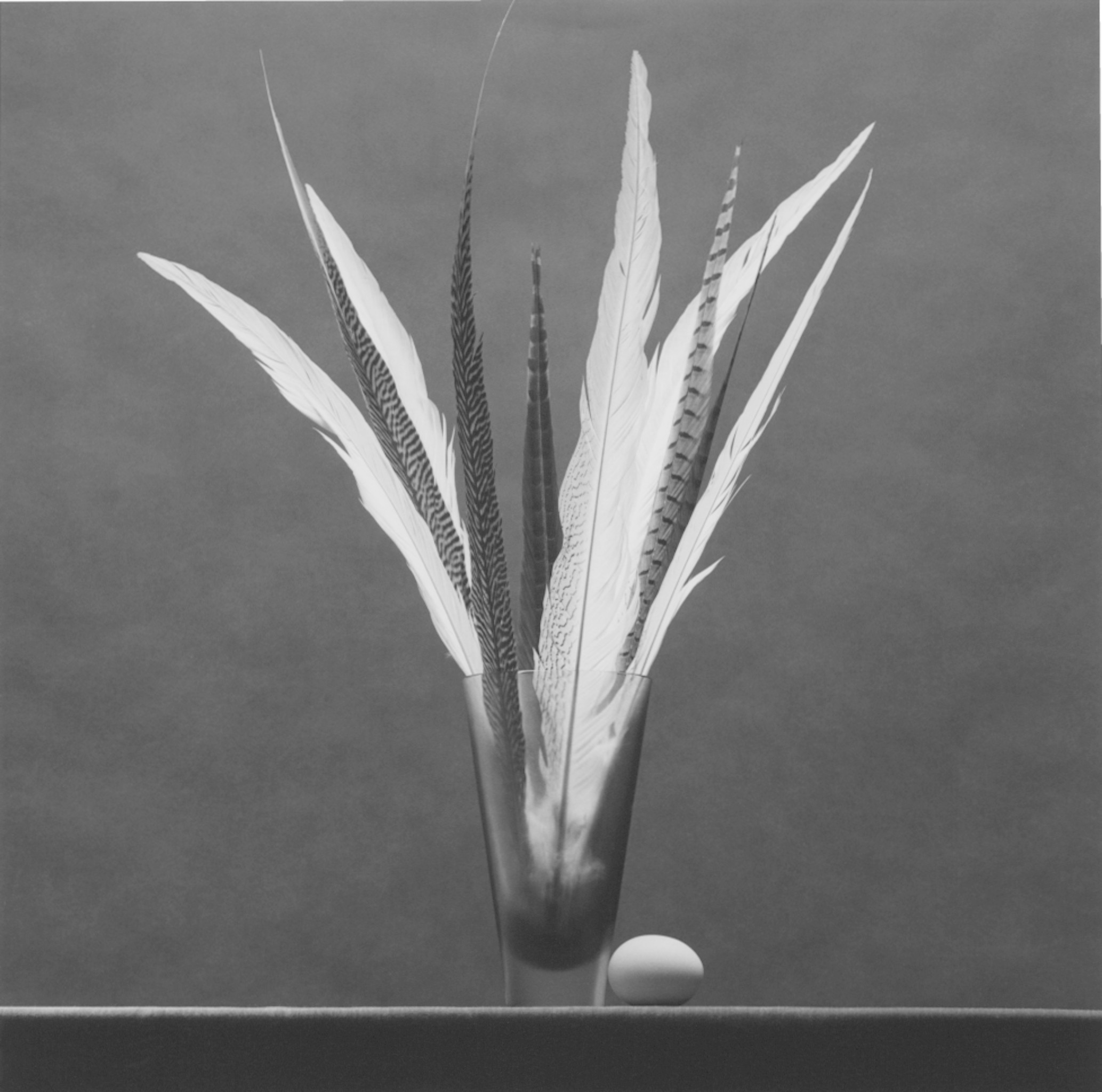 アート・デザイン・音楽 Mapplethorpe Robert Mapplethorpe | Feathers and Egg, 1985 | Art Basel
