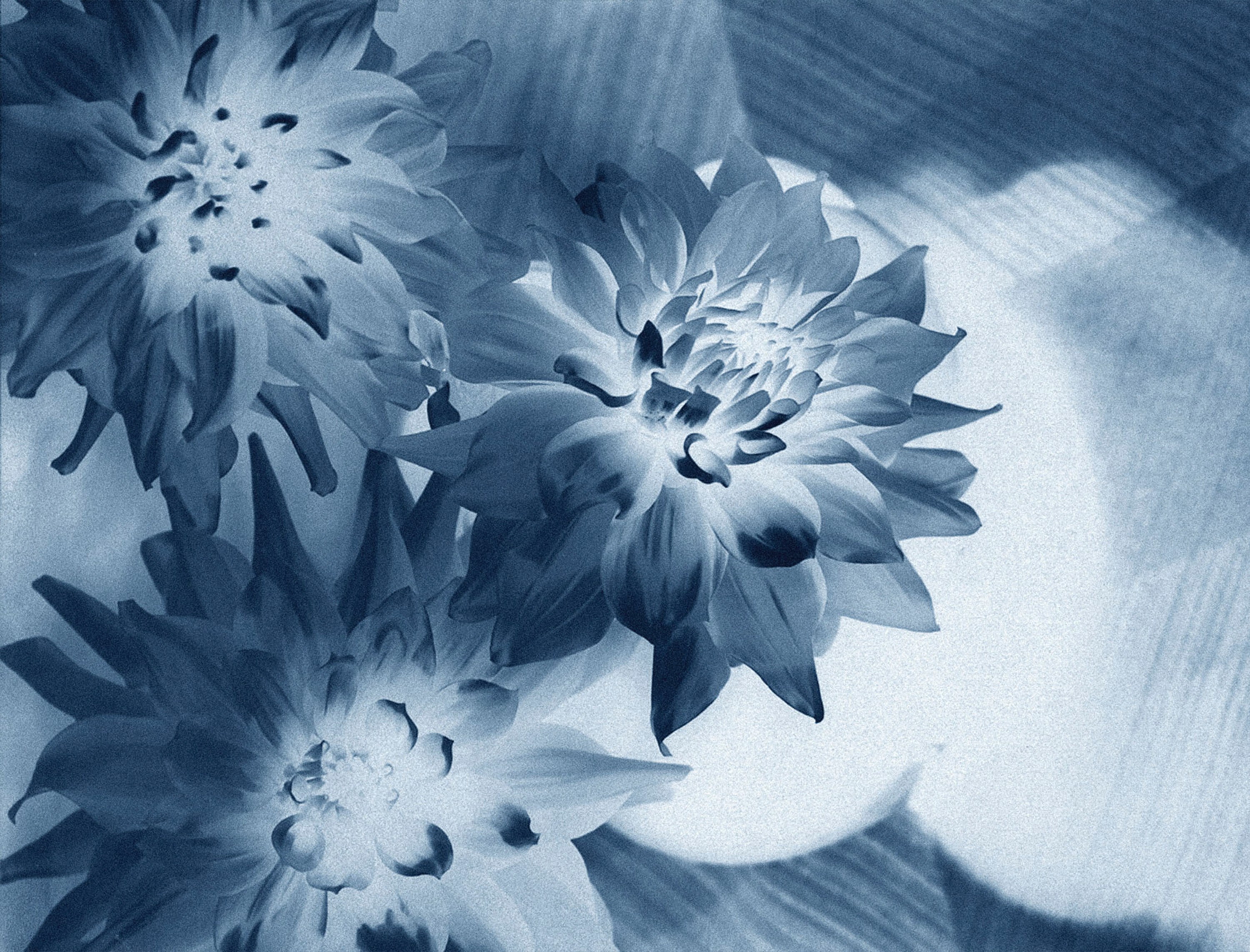 Thomas Ruff Schwarzwald.Landschaft. 洋書 トーマス・ルフ【Schwarzwald. Landschaft.】 - 京都にある