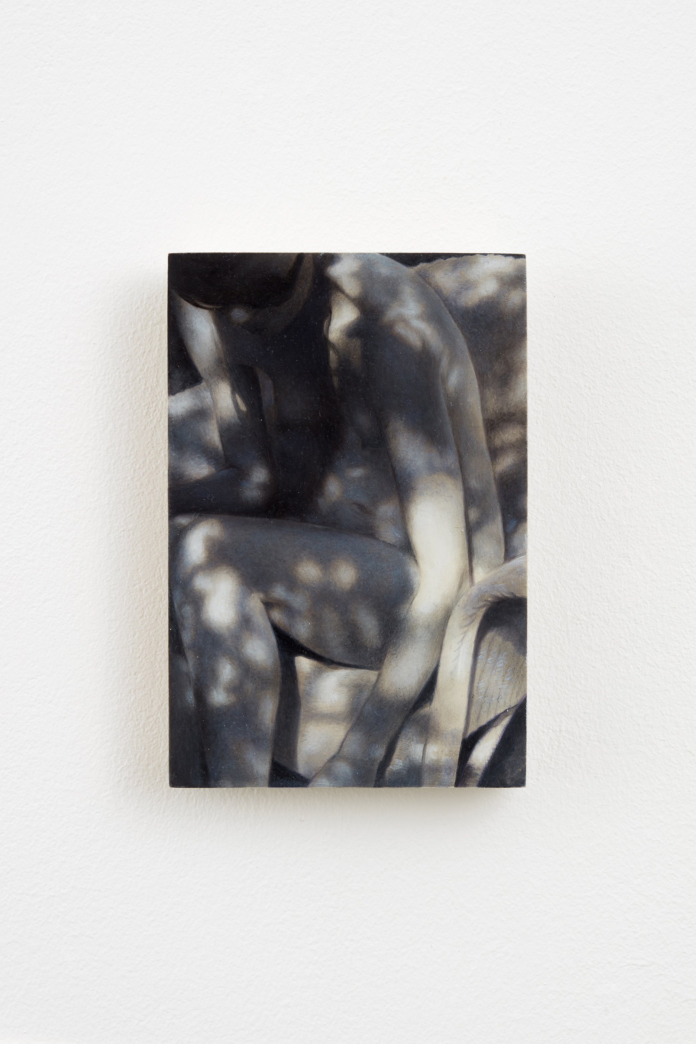 don brown | garden | art basel don brown | garden | art basel