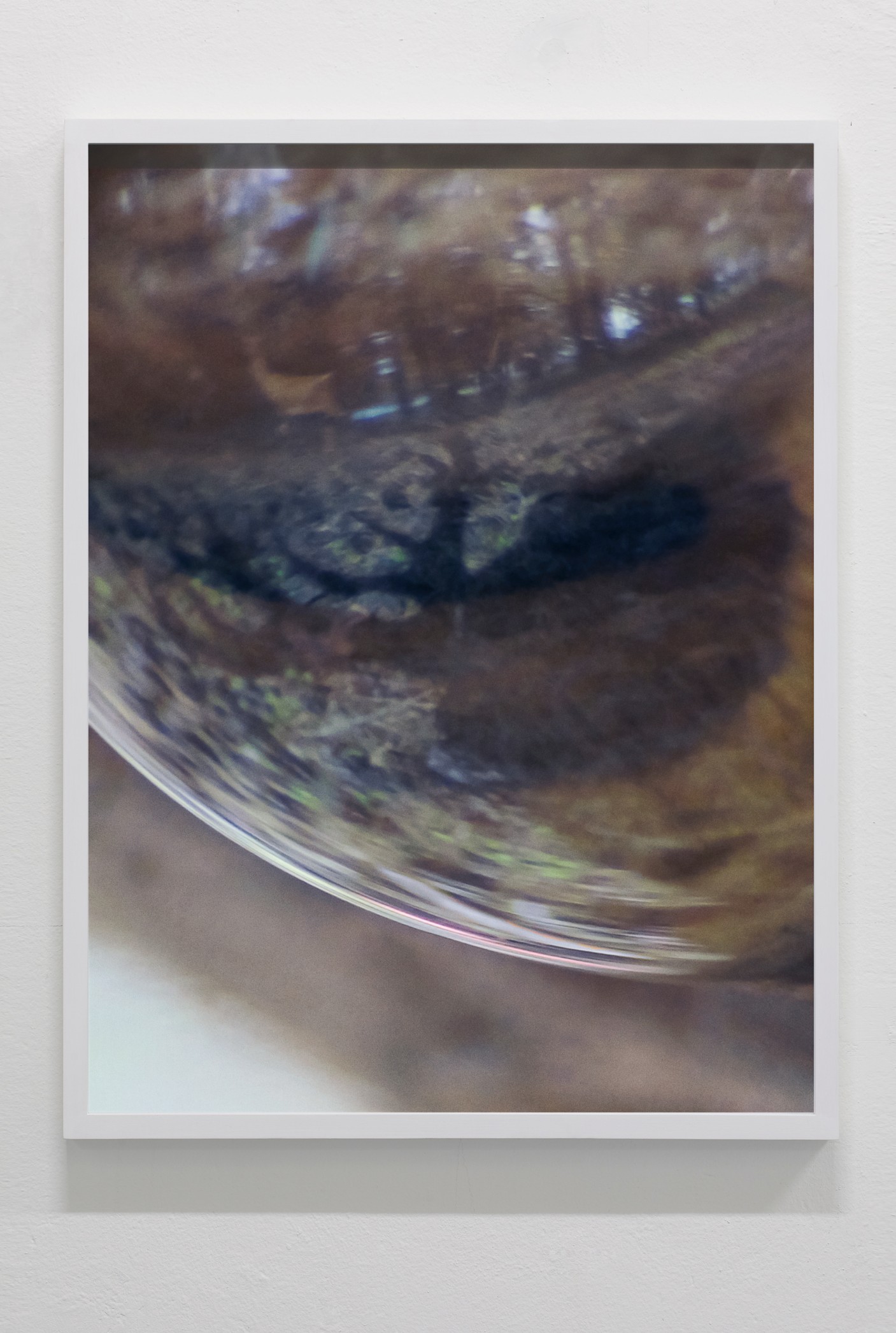 Objects In Mirror May Be Closer Than >> Julius Von Bismarck And Julian Charriere Objects In Mirror Might Objects In Mirror May Be Closer Than >> Julius Von Bismarck And Julian Charriere Objects In Mirror Might