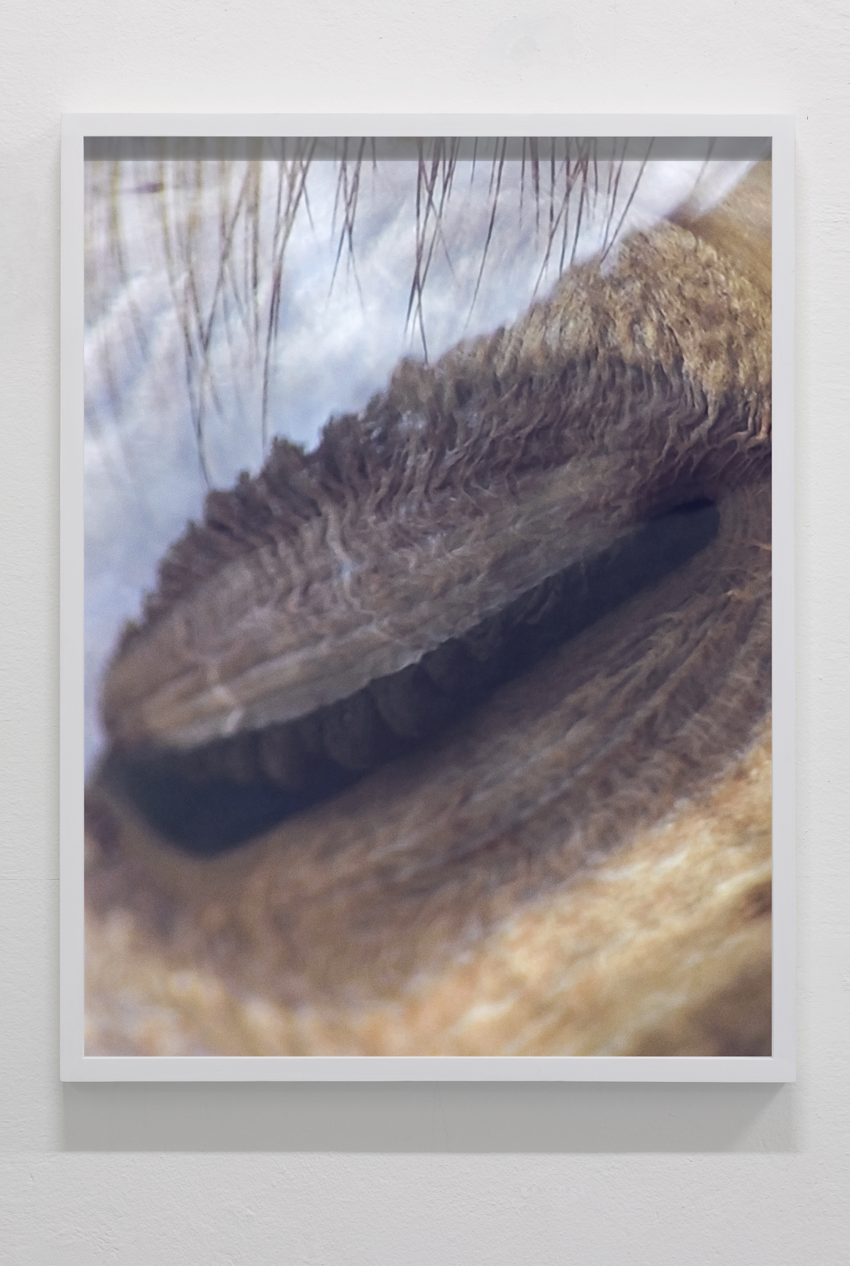 Objects In Mirror May Be Closer Than >> Julius Von Bismarck And Julian Charriere Objects In Mirror Might Objects In Mirror May Be Closer Than >> Julius Von Bismarck And Julian Charriere Objects In Mirror Might
