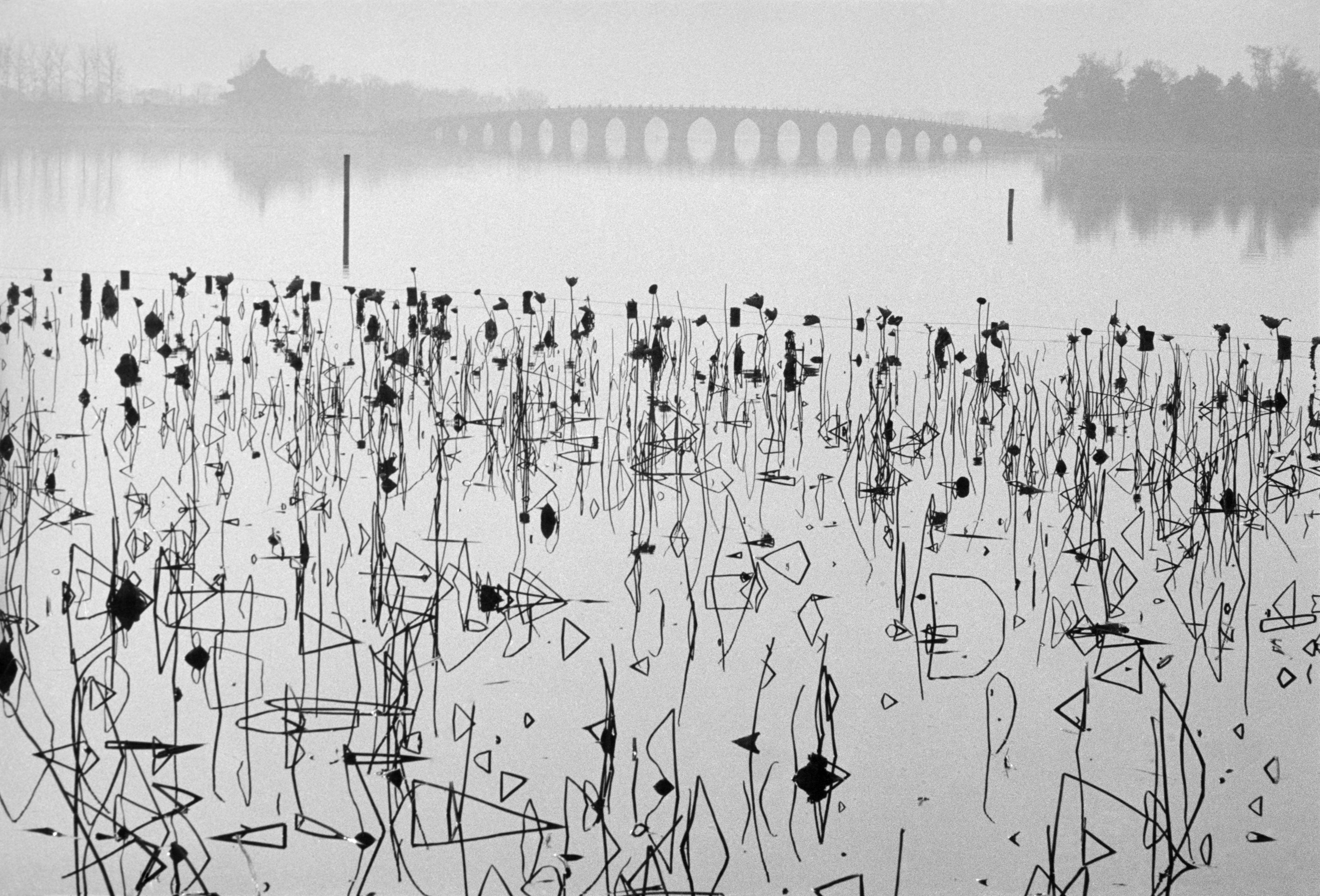 Photography / Rene Burri | Are.na