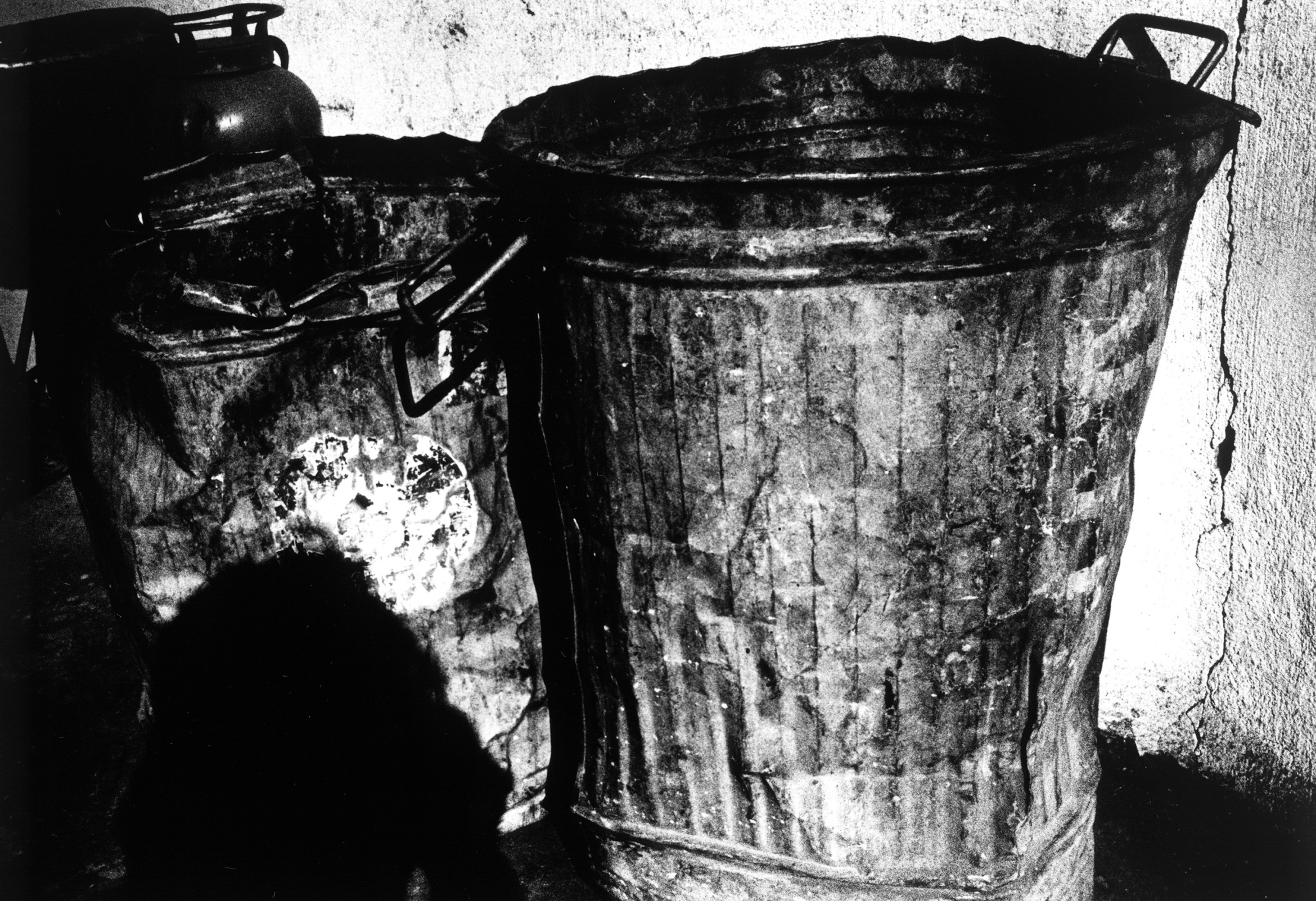 Daido Moriyama Shinju 限定版 117/300 Daido Moriyama Shinju 限定版 117/300