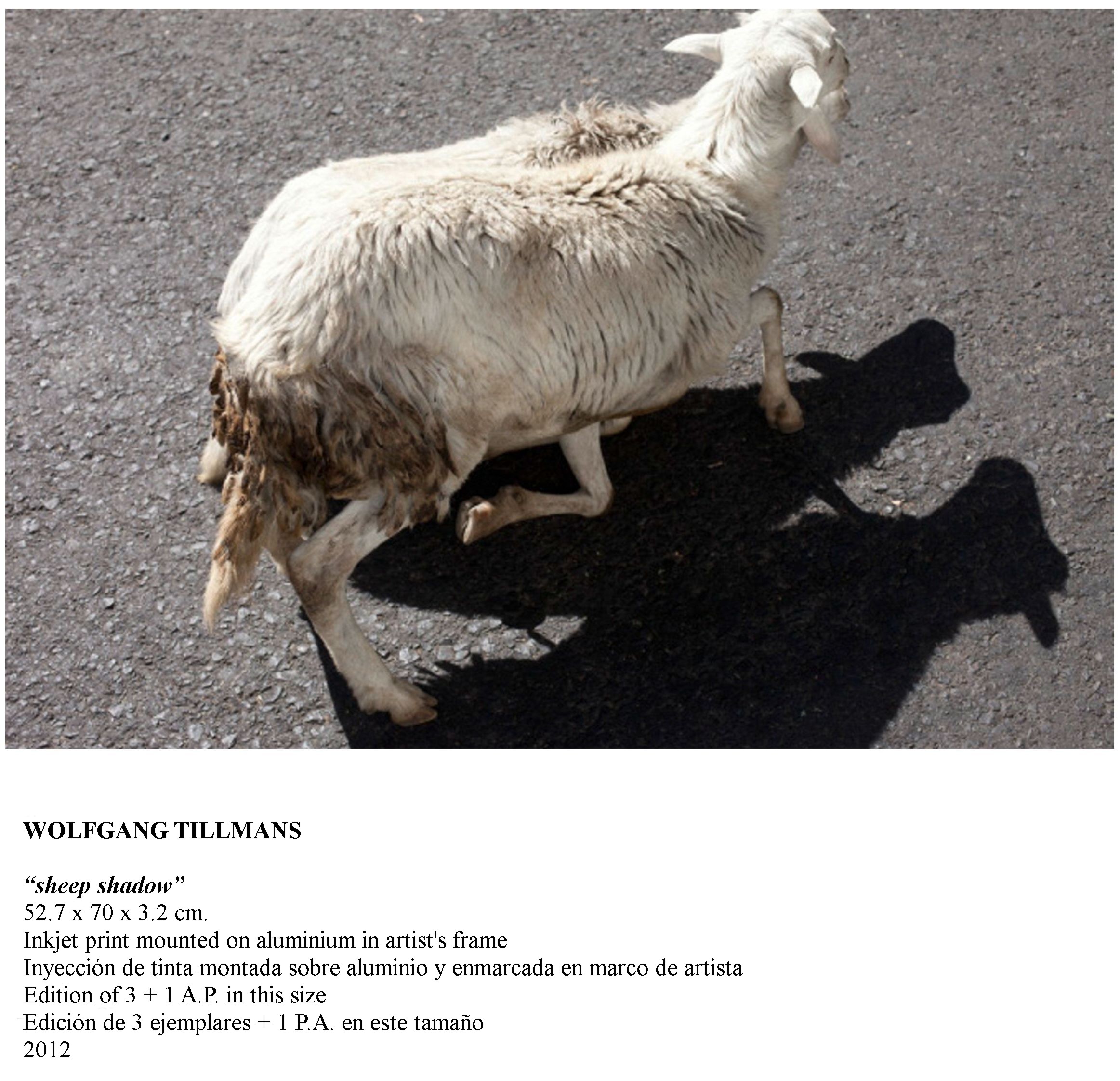 Wolfgang Tillmans | 