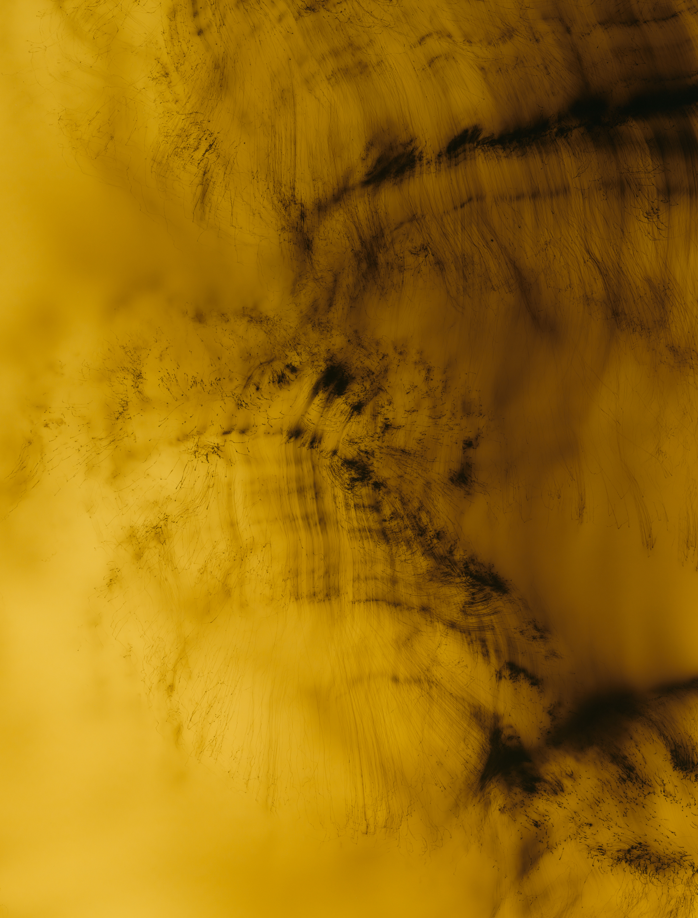 【Wolfgang Tillmans】★★大幅に値下げしました Wolfgang Tillmans 値下げしました41.000～36.000円 Amazon.co